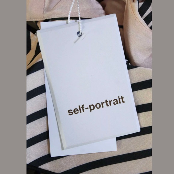 Self Portrait Nude Stripe Pleated Ruffle Sleeve MIDI Dress NWT $440 6 - Picture 11 of 13